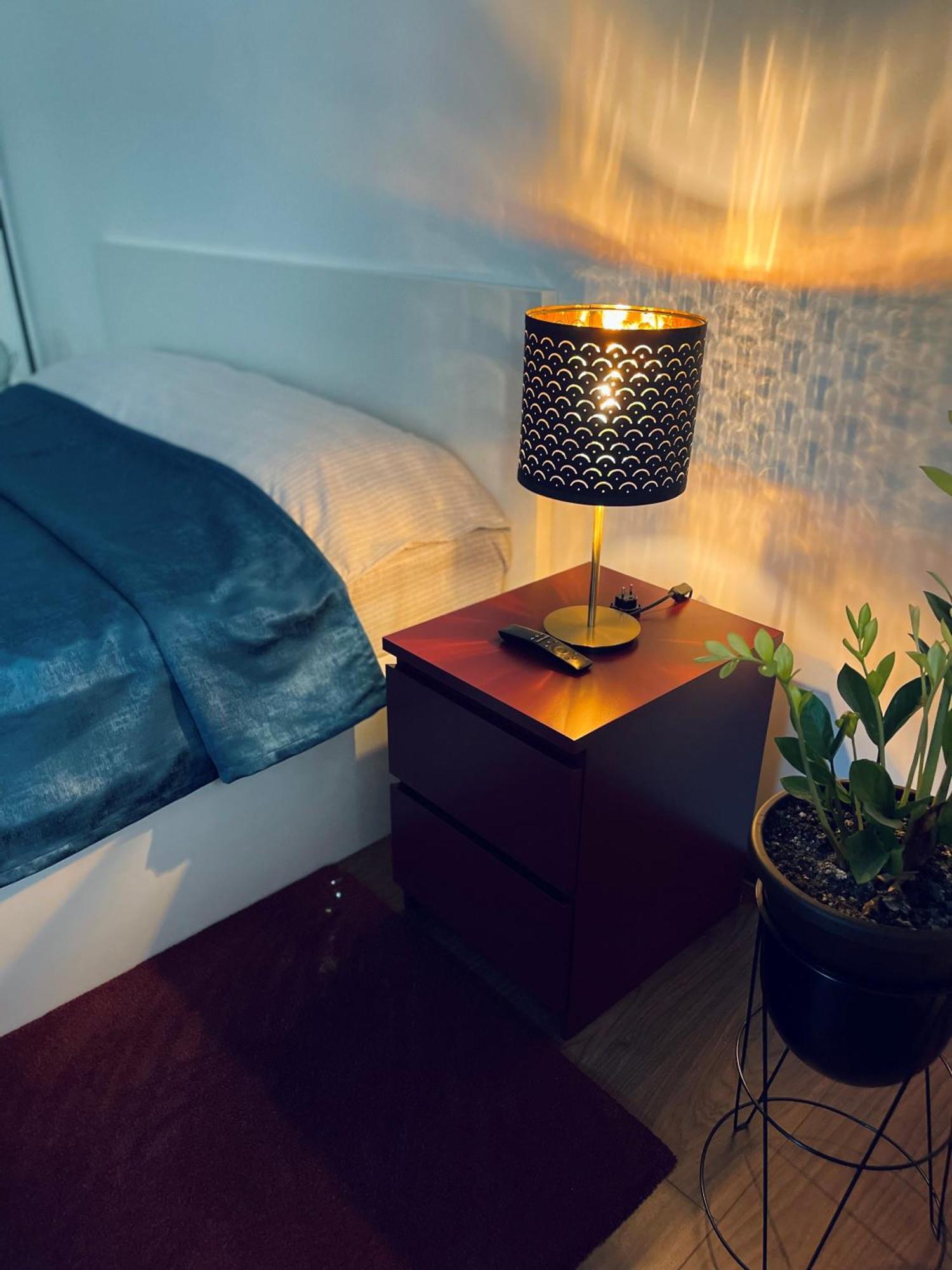 City Garden Apartments ブカレスト エクステリア 写真
