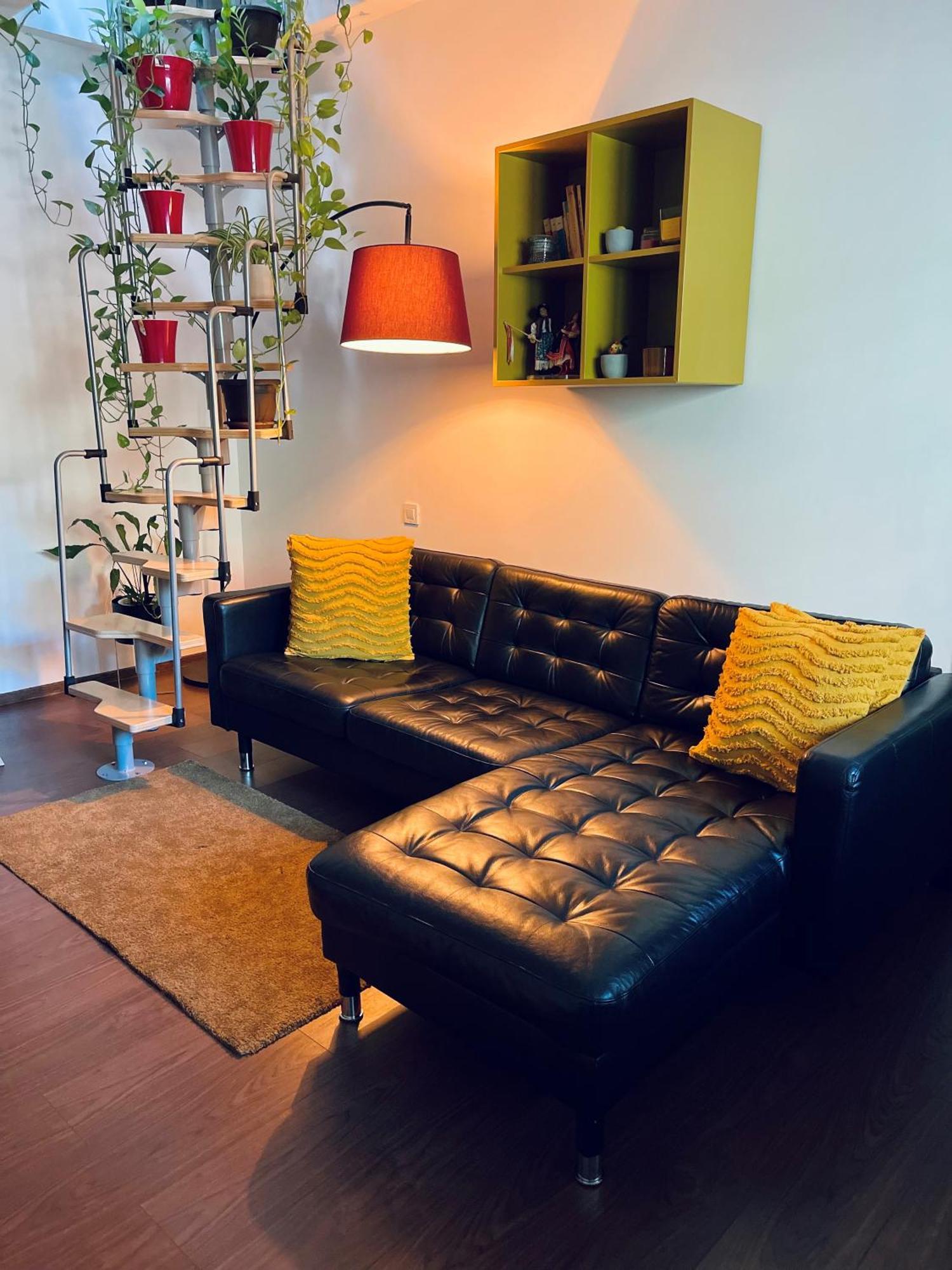 City Garden Apartments ブカレスト エクステリア 写真