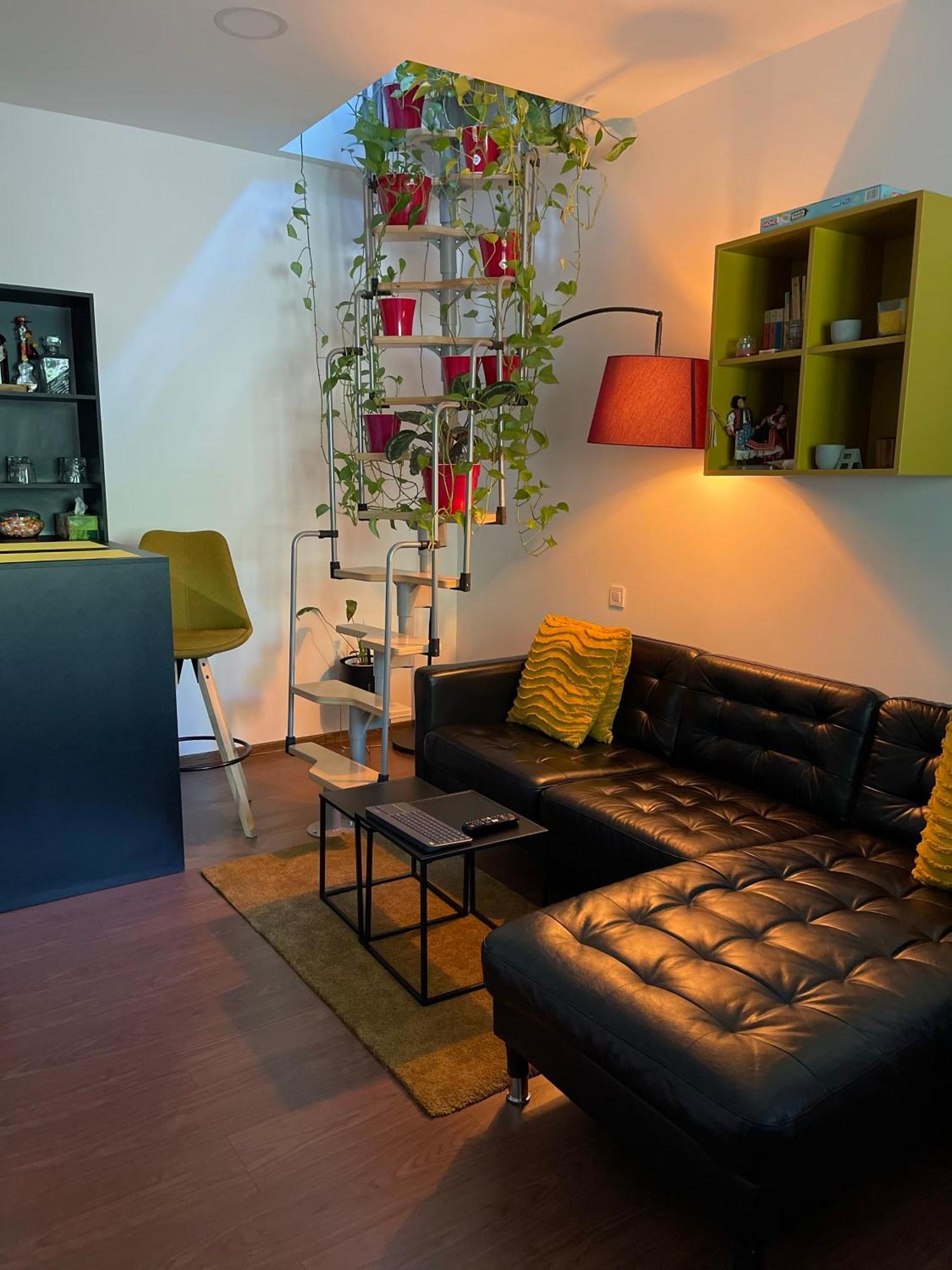 City Garden Apartments ブカレスト エクステリア 写真