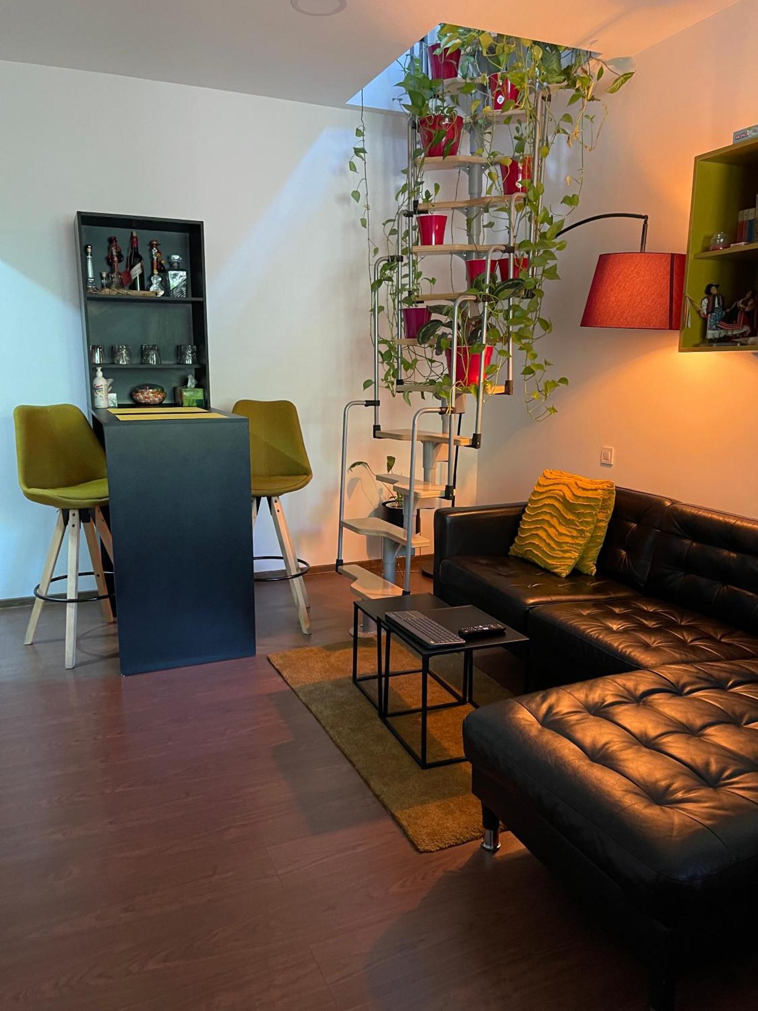 City Garden Apartments ブカレスト エクステリア 写真